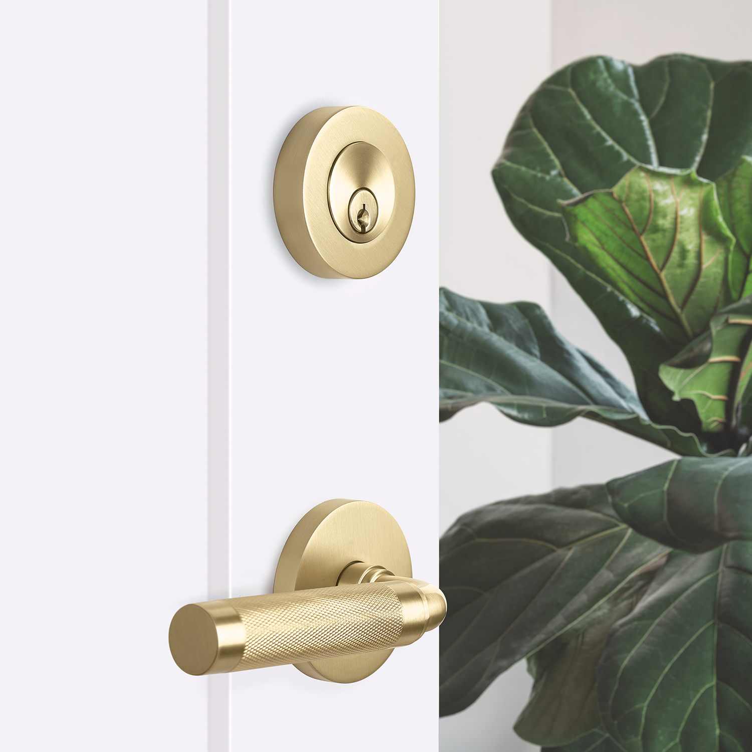 Deadbolts– Banbury Lane Design Centre