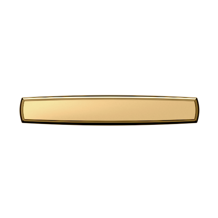 Lifetime (PVD) Polished Brass 4" CTC