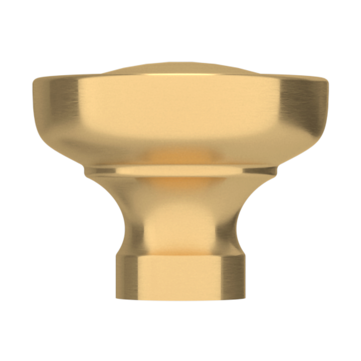 Lifetime (PVD) Satin Brass 1.5"