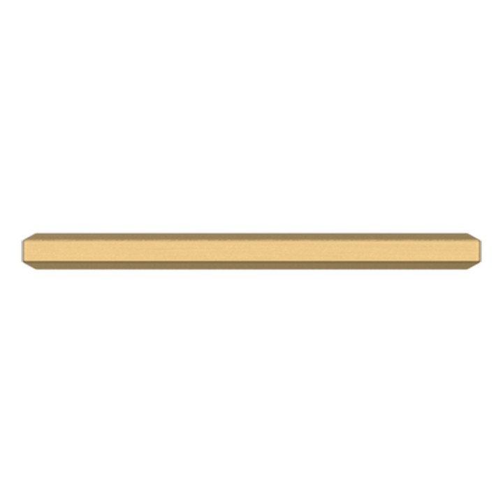 Lifetime (PVD) Satin Brass 4" CTC
