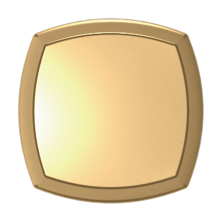 Lifetime (PVD) Polished Brass 1"