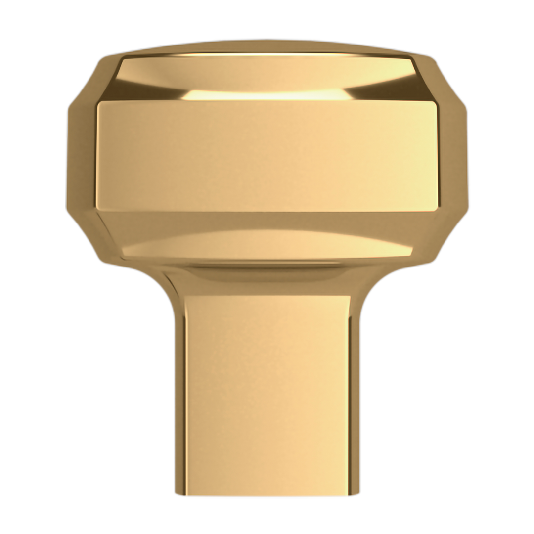 Lifetime (PVD) Polished Brass 1"