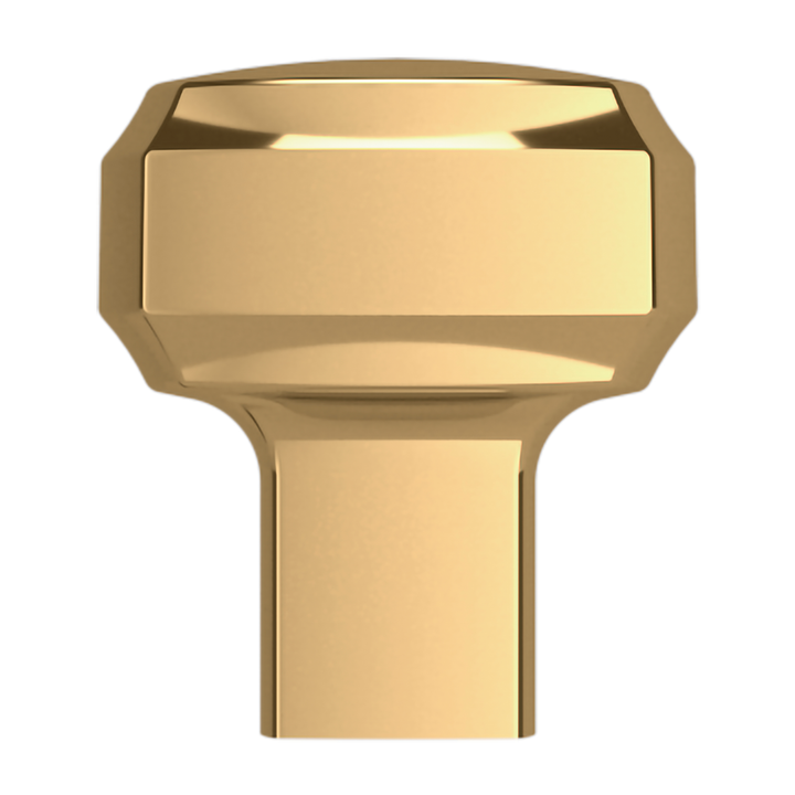 Lifetime (PVD) Polished Brass 1"