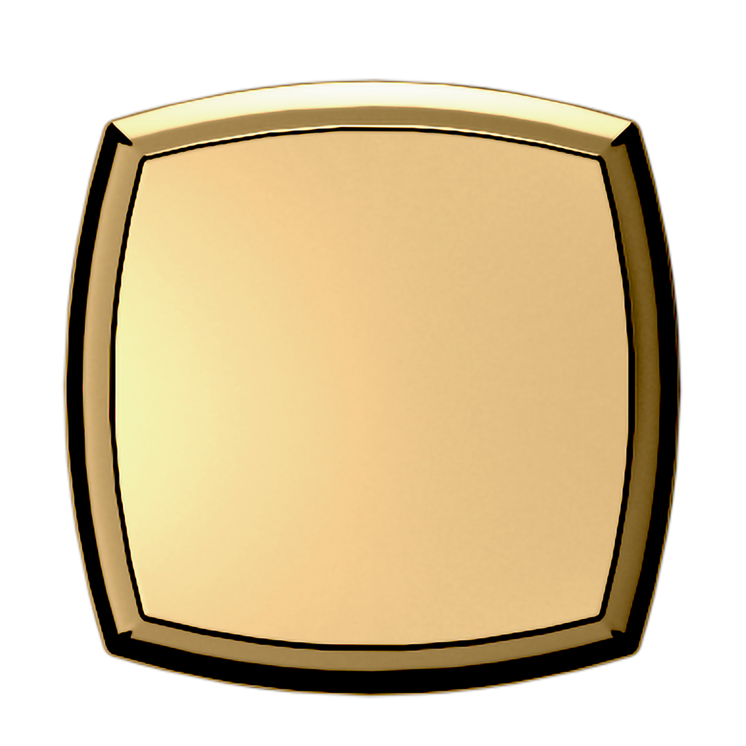 Lifetime (PVD) Polished Brass 1.25"