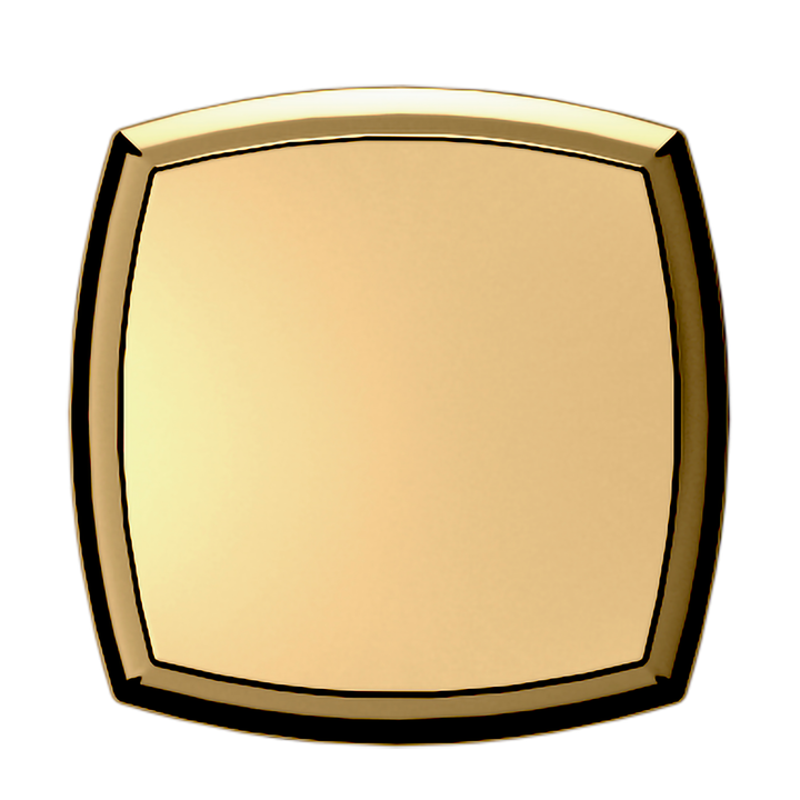 Lifetime (PVD) Polished Brass 1.25"