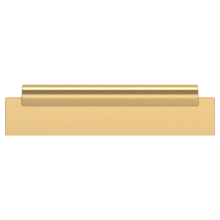 Lifetime (PVD) Satin Brass 4" CTC