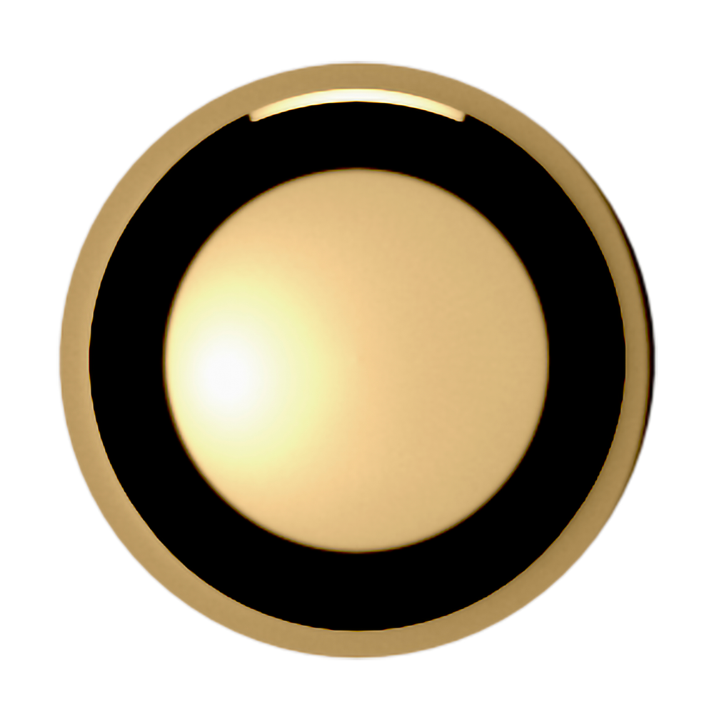 Lifetime (PVD) Polished Brass 1"