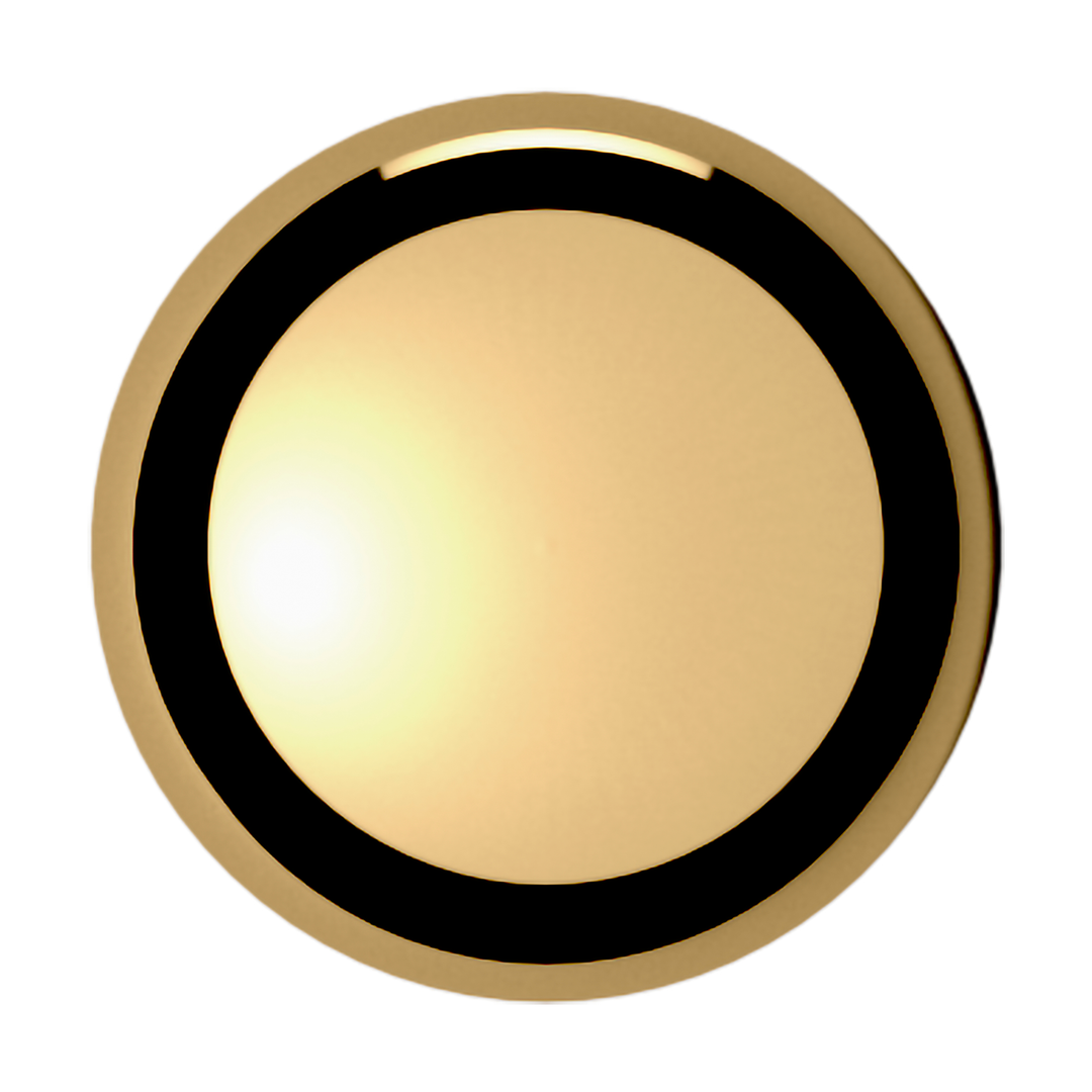 Lifetime (PVD) Polished Brass 1.25"