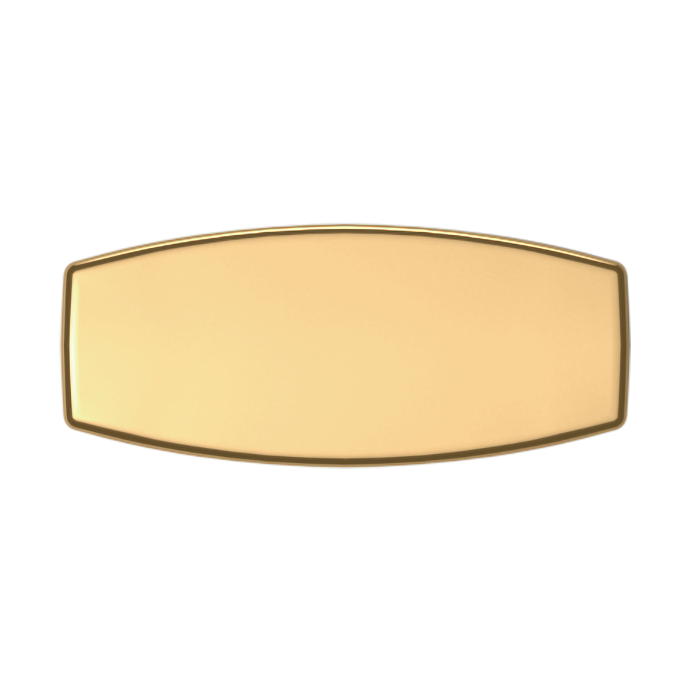 Lifetime (PVD) Polished Brass 1.5"