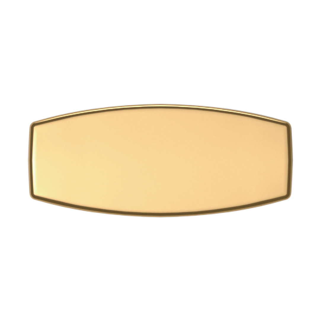 Lifetime (PVD) Polished Brass 1.5"
