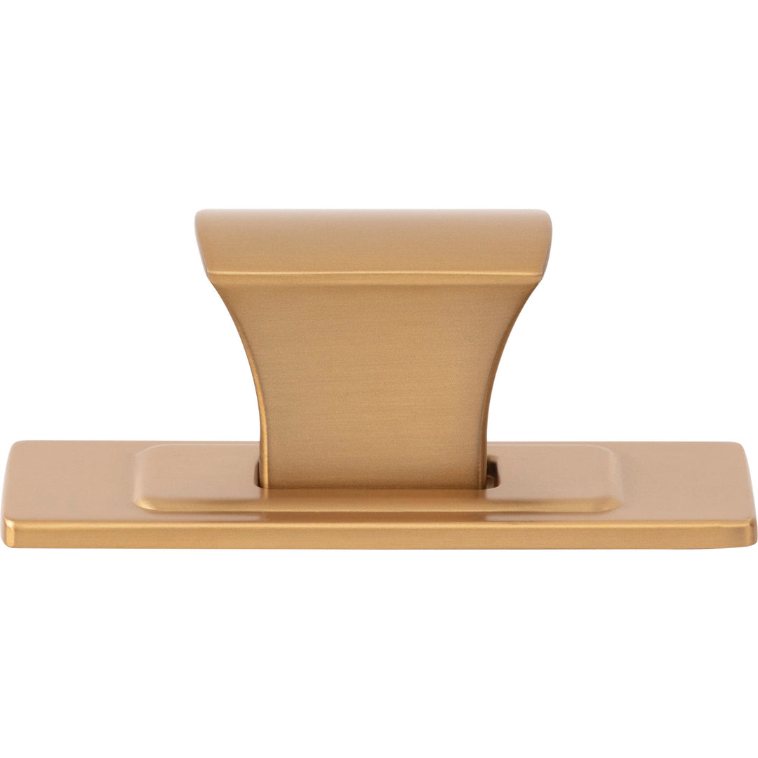 Atlas - Zander Knob and Backplate