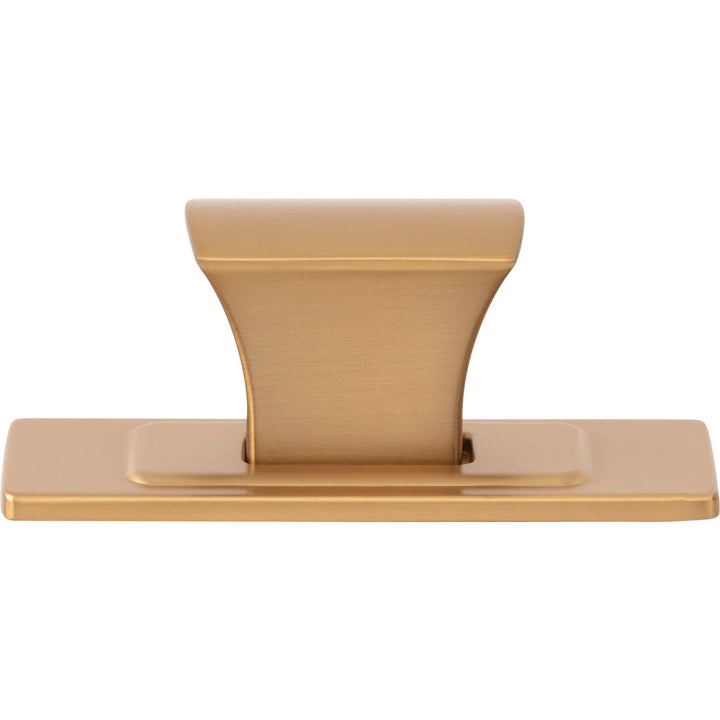 Atlas - Zander Knob and Backplate