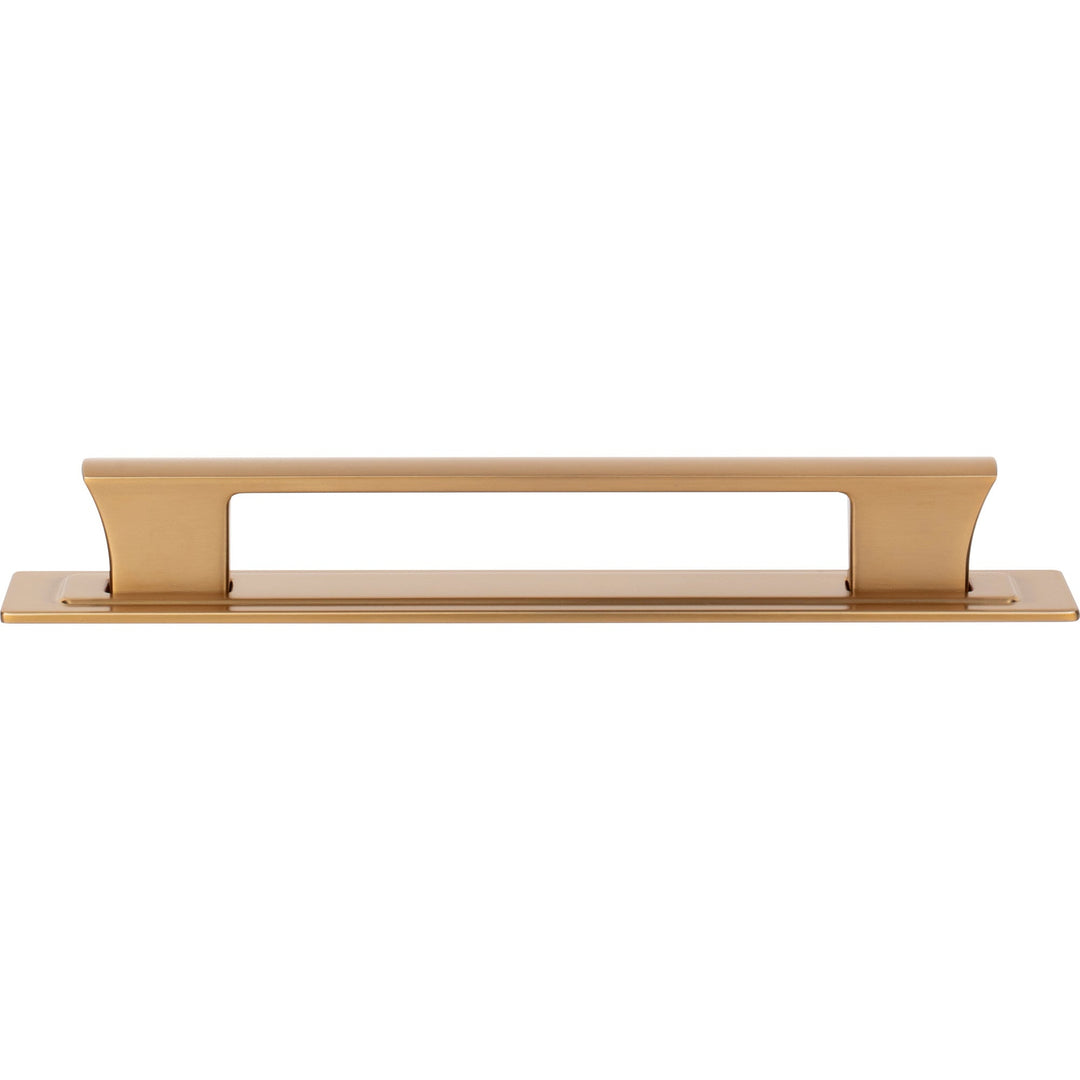 Atlas - Zander Pull and Backplate