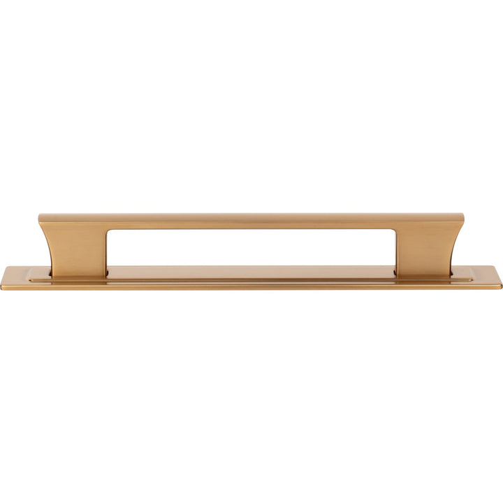 Atlas - Zander Pull and Backplate