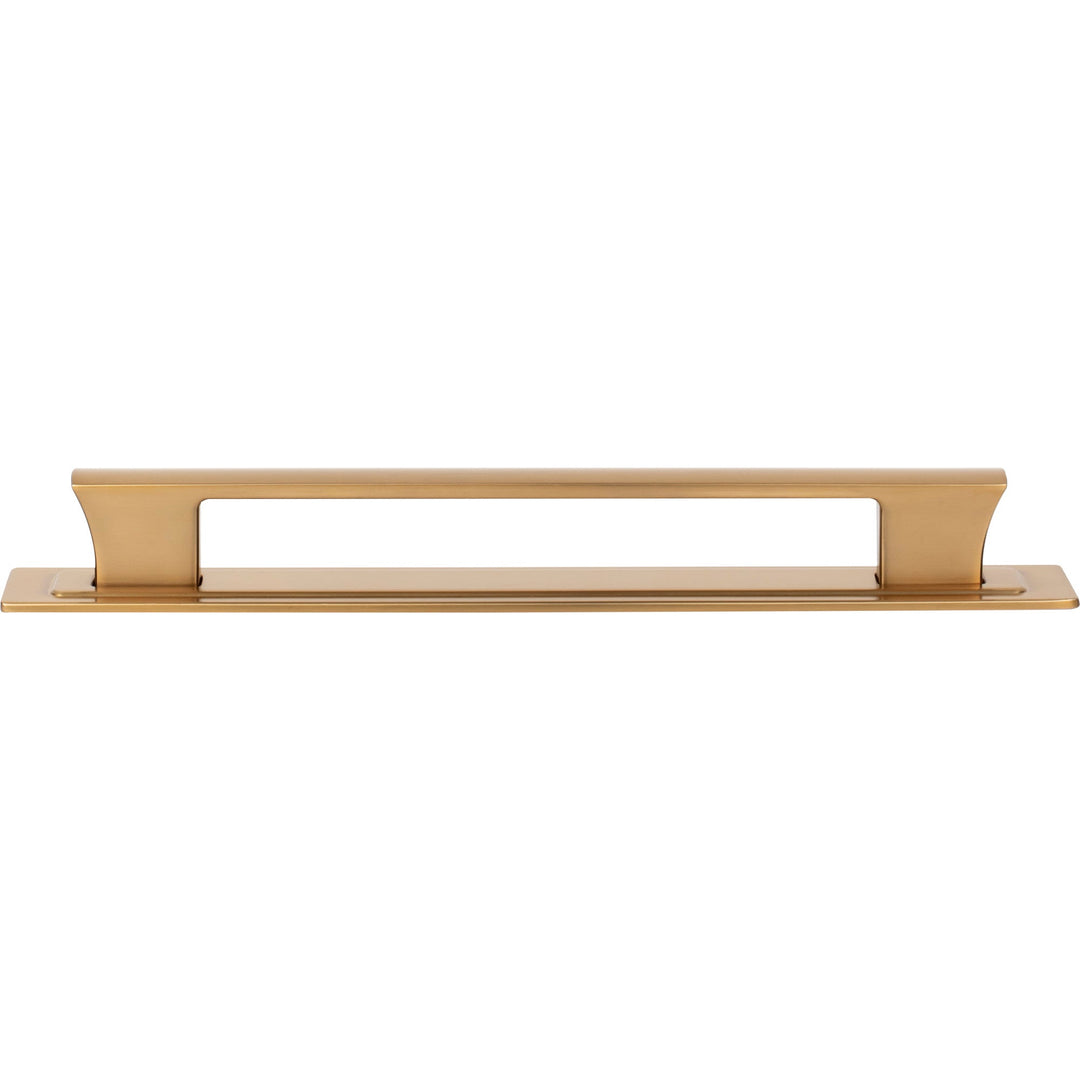 Atlas - Zander Pull and Backplate
