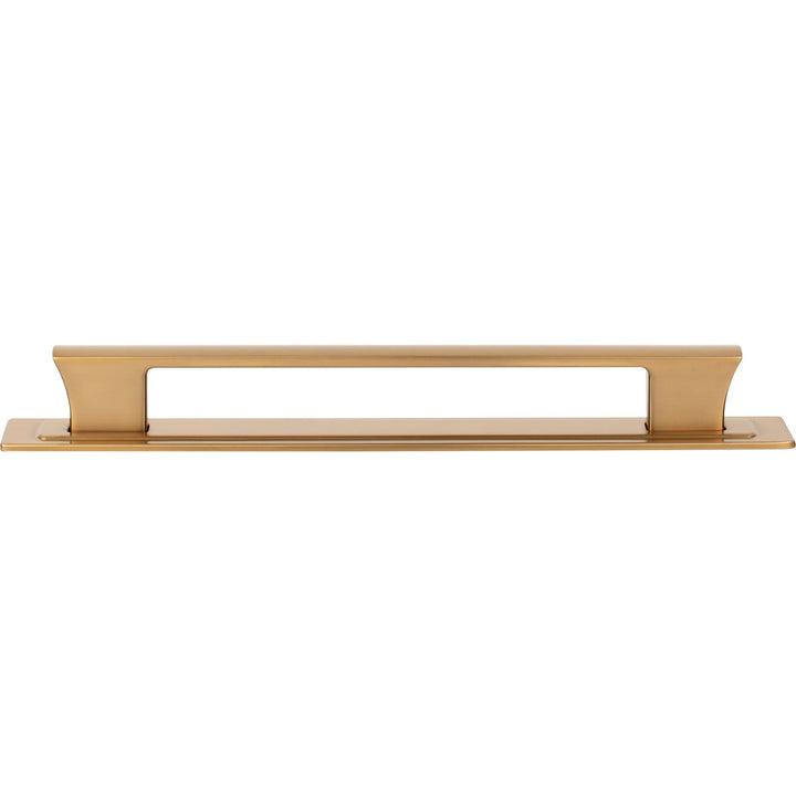 Atlas - Zander Pull and Backplate