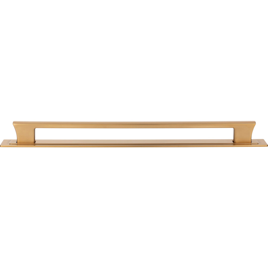 Atlas - Zander Pull and Backplate