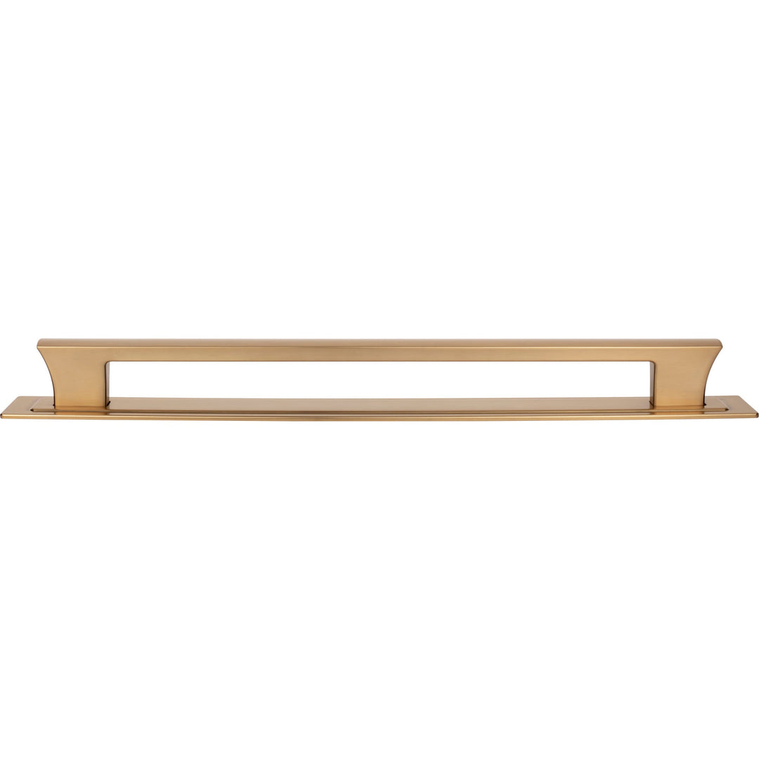 Atlas - Zander Appiance Pull and Backplate