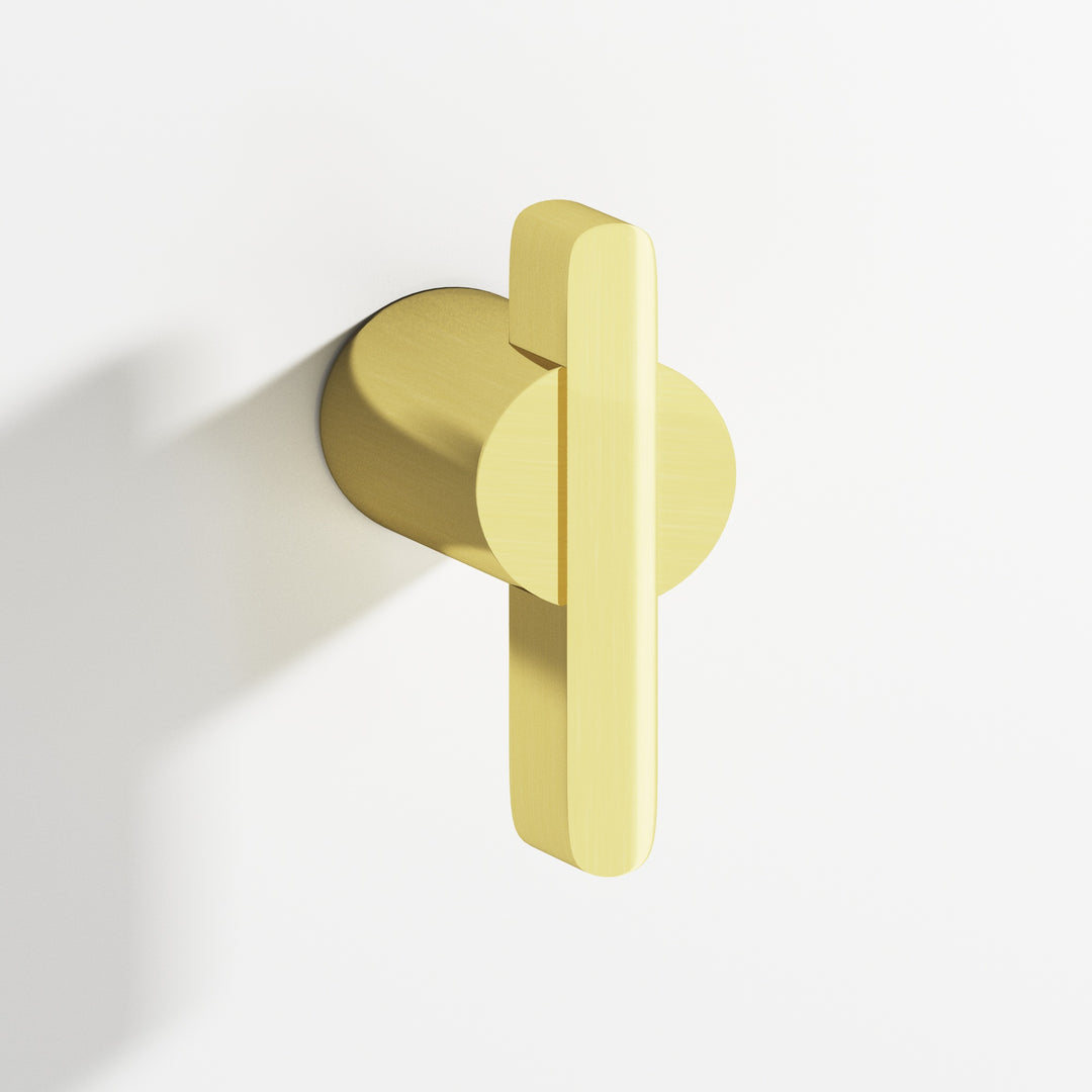 Colonial Bronze 1331BB Round offset and striped T Back-to-Back Shower Door Knob Kit in Unlacquered Polished Brass