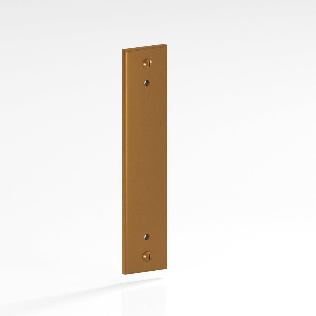 Colonial Bronze 9949 Rectangular stepped Backplate with exposed finished screws for use with 8-32 screws in Matte Light Statuary Bronze